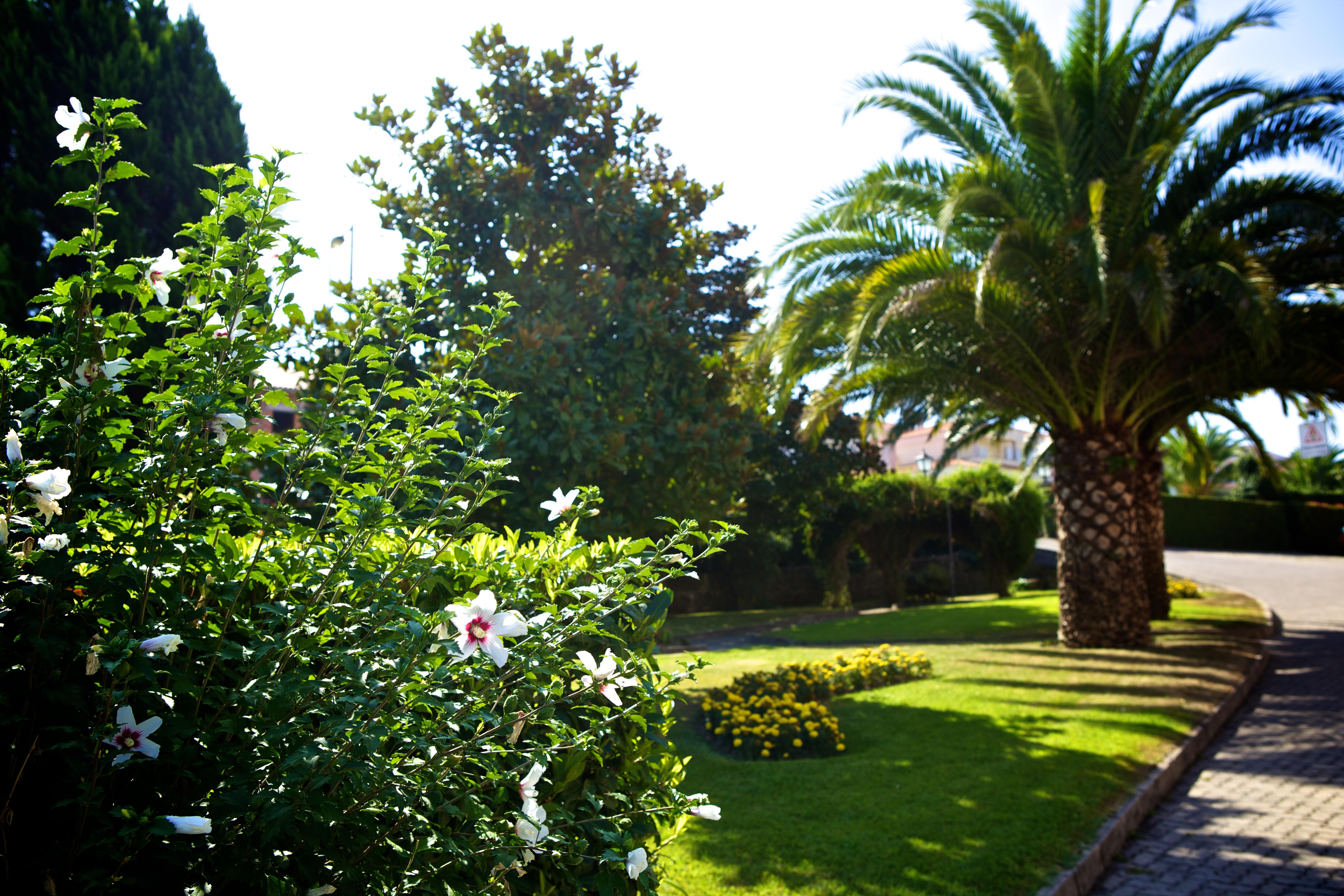 Hotel Sj Tondela Zewnętrze zdjęcie